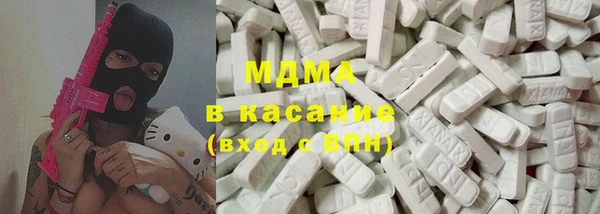 индика Богородск