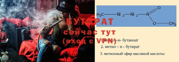 индика Богородск