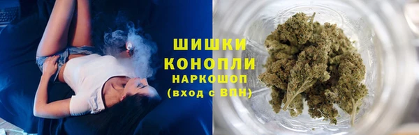 mdpv Богородицк