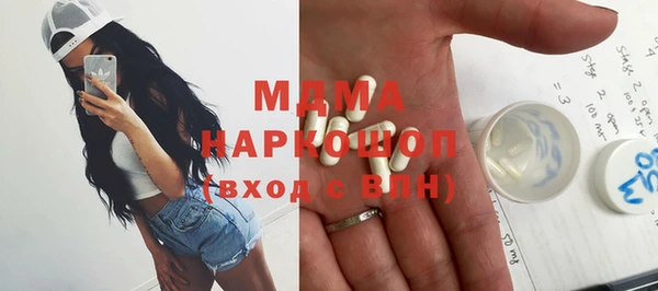 индика Богородск