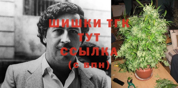 индика Богородск