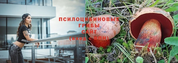 индика Богородск