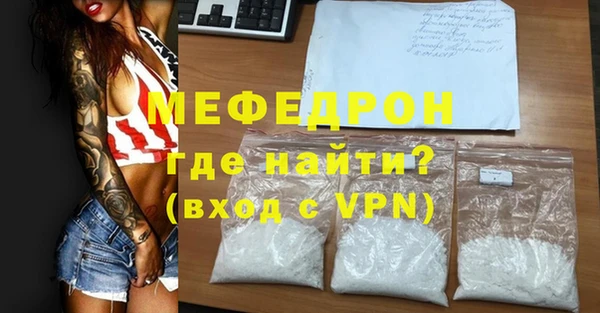 индика Богородск