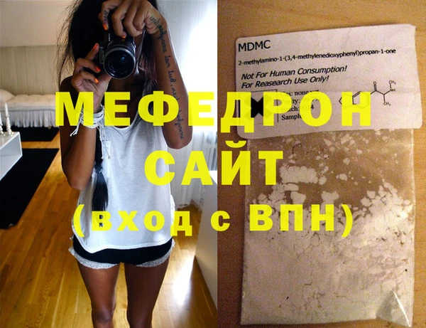 индика Богородск