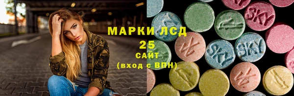 индика Богородск