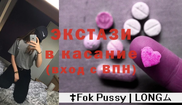 индика Богородск