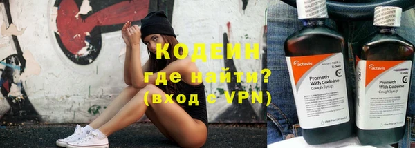 индика Богородск