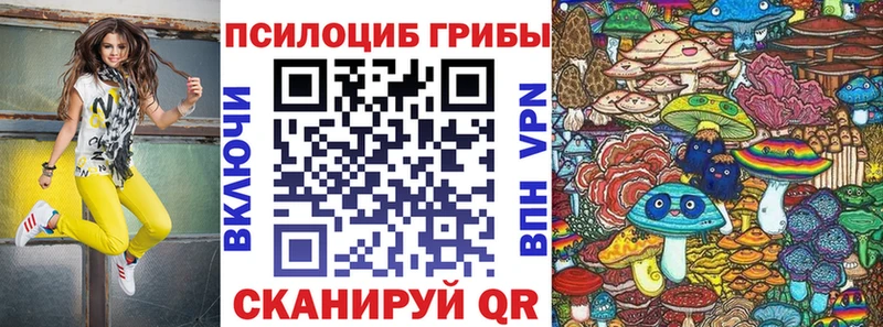 что такое наркотик  Княгинино  Галлюциногенные грибы MAGIC MUSHROOMS 